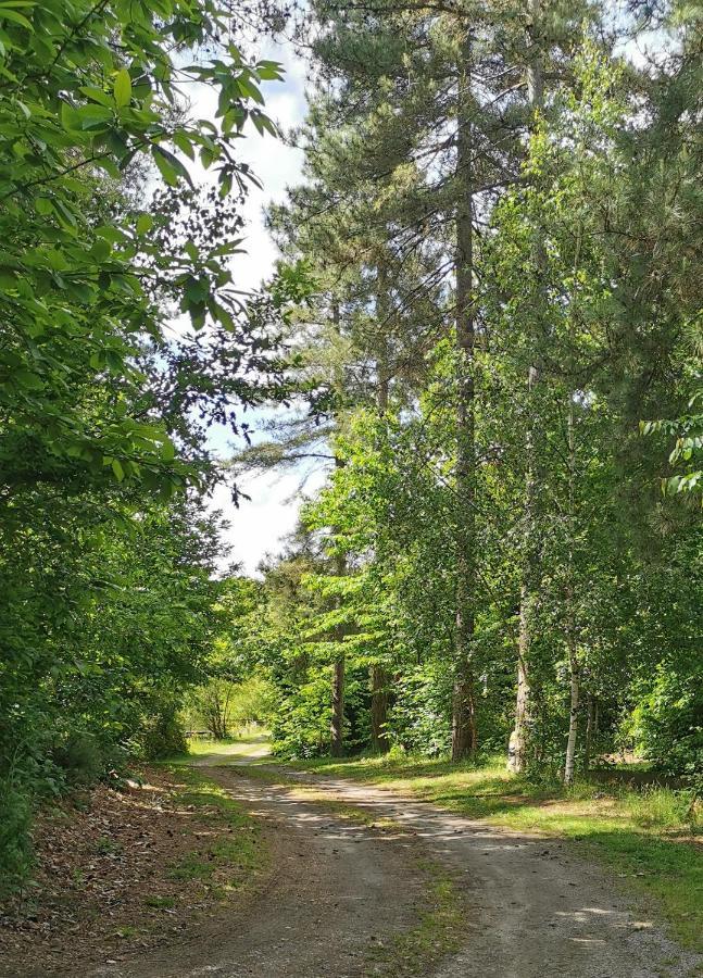 Camping De La Chagnee Saint-Aubin-le-Cloud Kültér fotó