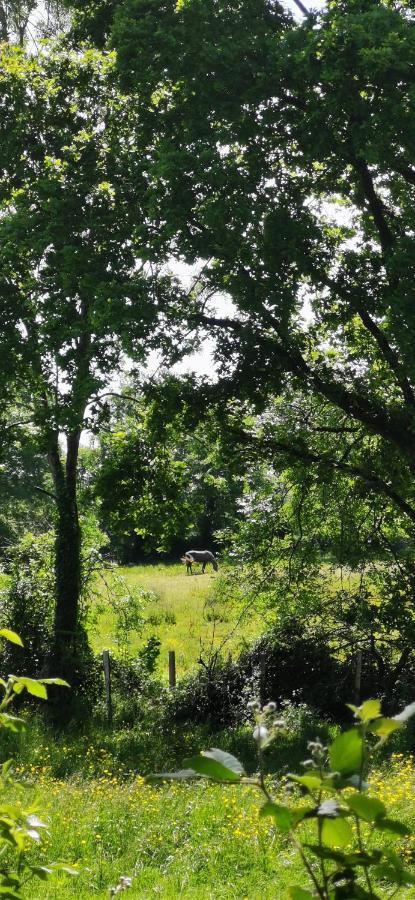 Camping De La Chagnee Saint-Aubin-le-Cloud Kültér fotó