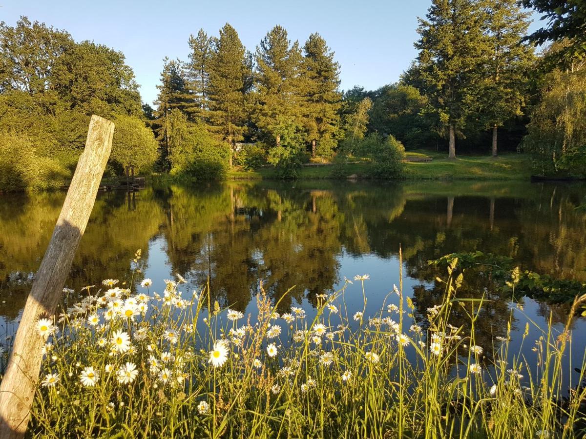 Camping De La Chagnee Saint-Aubin-le-Cloud Kültér fotó