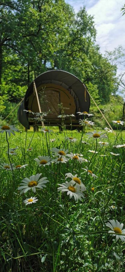 Camping De La Chagnee Saint-Aubin-le-Cloud Kültér fotó