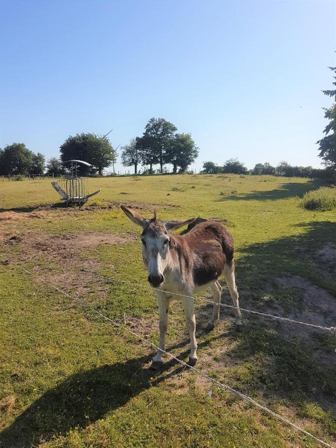 Camping De La Chagnee Saint-Aubin-le-Cloud Kültér fotó